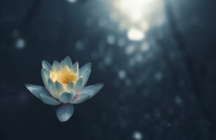 Cómo utilizar la visualización en la meditación