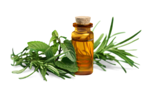 aceites esenciales para meditacion
