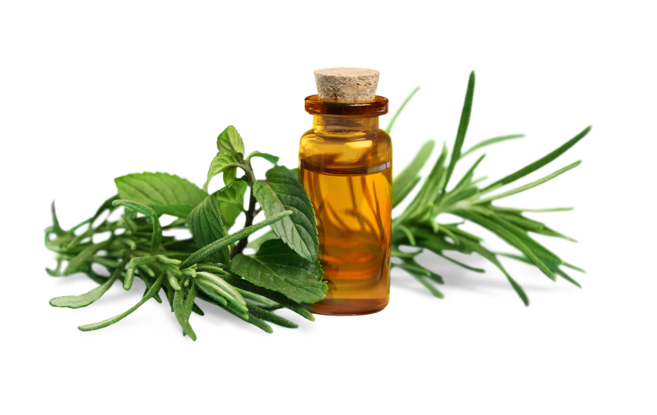 aceites esenciales para meditacion