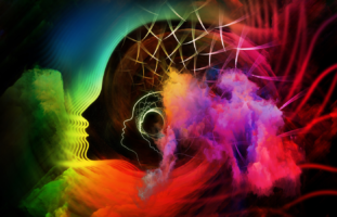 efectos de la meditacion en el cerebro
